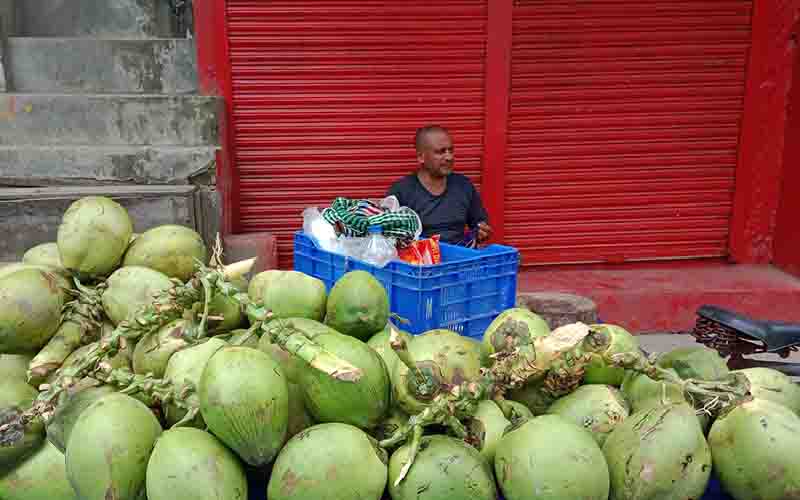 বর্ষা মৌসুমেও ডাবের দাম ১৩০ থেকে ১৬০