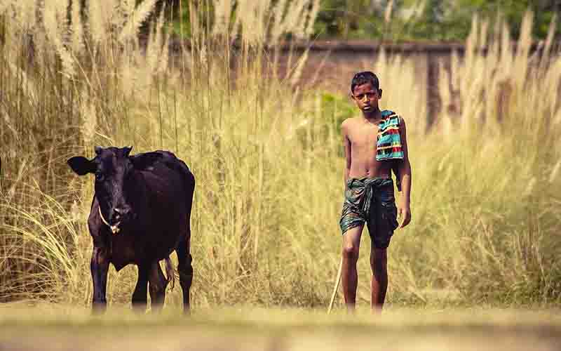 বিসর্জন হয় কার !
