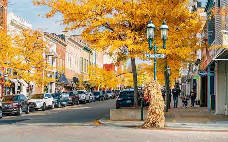 আমেরিকার চিঠি | প্রবাসজীবনের সহজ ও স্বস্তির ঠিকানা মিশিগান