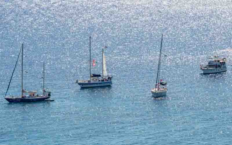 ফ্রিডম ফ্লোটিলা : আরও ১১টি জাহাজের যাত্রা শুরু ফ্রিডম ফ্লোটিলা