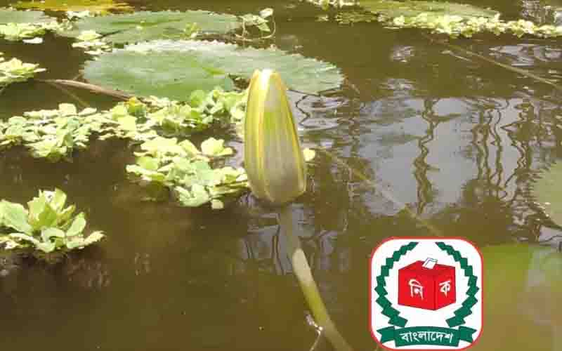 ইসির প্রতীক তালিকায় যুক্ত হলো ‘শাপলা কলি’