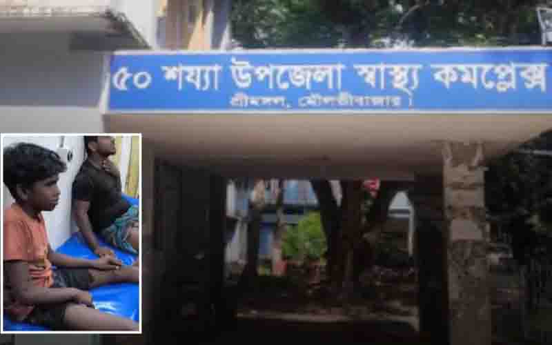 শ্রীমঙ্গলে শিয়াল-বানর-কুকুরে আহত ২৩ জন